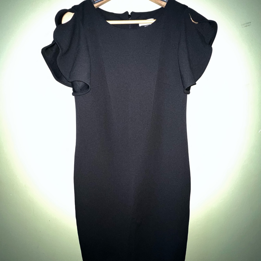 Elegant Black Ruffle Sleeve Dress